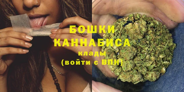 гидра Верхний Тагил