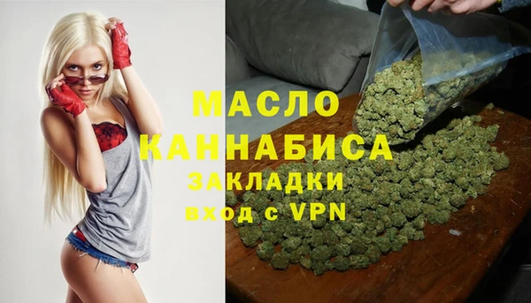 гидра Верхний Тагил