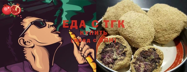 гидра Верхний Тагил