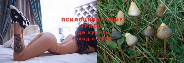 каннабис Бородино