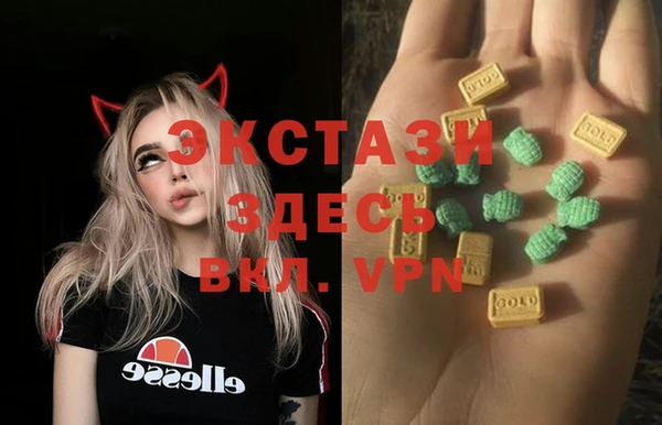 гидра Верхний Тагил