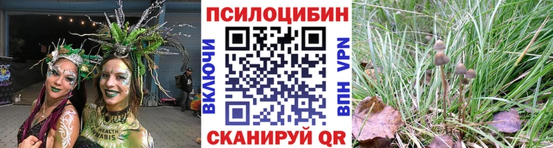 Купить закладки  Иноземцево  Галлюциногенные грибы Psilocybine cubensis 